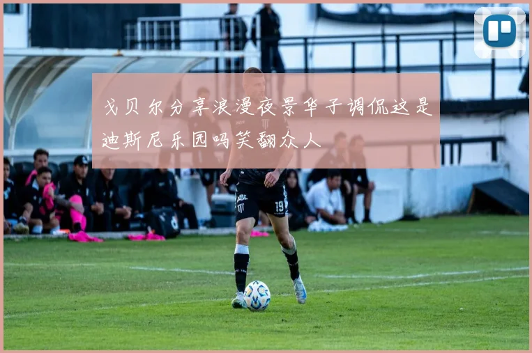 戈贝尔分享浪漫夜景华子调侃这是迪斯尼乐园吗笑翻众人