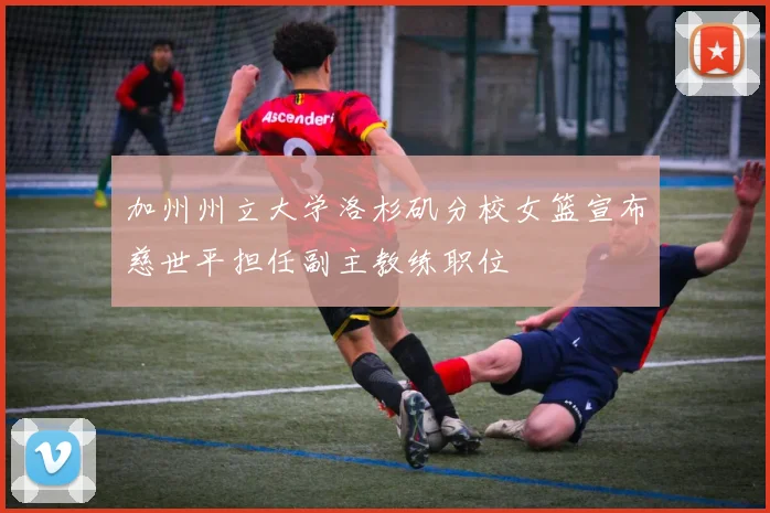 加州州立大学洛杉矶分校女篮宣布慈世平担任副主教练职位